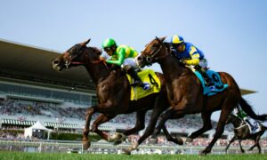 2021 Fourstardave Handicap Free Pick & Handicapping Odds & Prediction