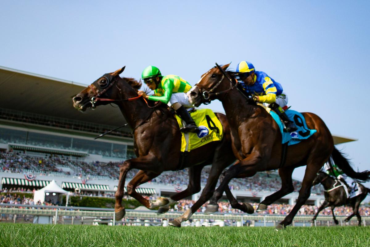 2021 Fourstardave Handicap Free Pick & Handicapping Odds & Prediction