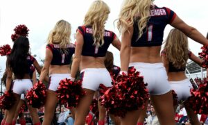 Arizona Cardinals vs. Houston Texans Free Pick & NFL Betting Prediction, 12/14/25