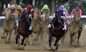 2021 Sword Dancer Stakes Free Pick & Handicapping Odds & Prediction
