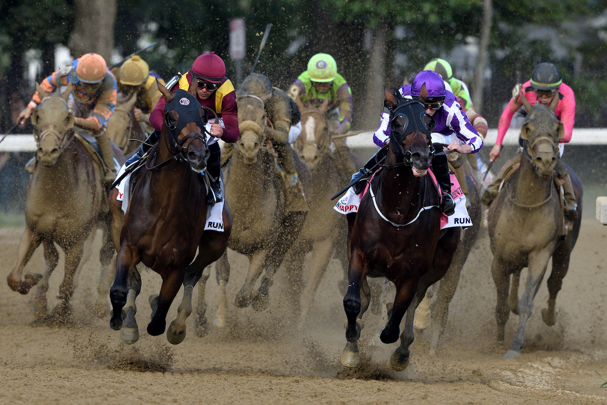2021 Sword Dancer Stakes Free Pick & Handicapping Odds & Prediction