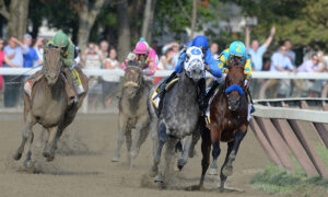 2021 Travers Stakes Free Pick & Handicapping Odds & Prediction