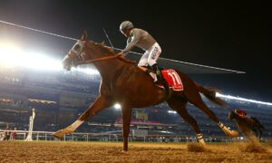 2021 Pacific Classic Stakes Free Pick & Handicapping Odds & Prediction