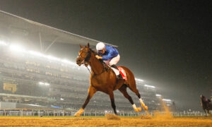 2025 Breeders' Cup Turf Free Pick & Handicapping Odds & Prediction