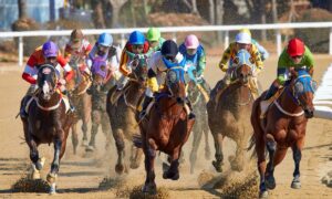 2021 Cotillion Stakes Free Pick & Handicapping Odds & Prediction