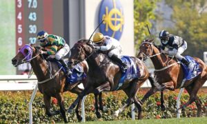 2021 Jockey Club Gold Cup Free Pick & Handicapping Odds & Prediction