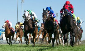 2021 Woodbine Mile Free Pick & Handicapping Odds & Prediction