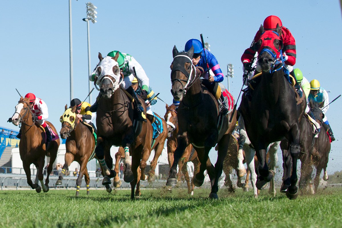 2021 Woodbine Mile Free Pick Woodbine Race Course, Offtrack Betting