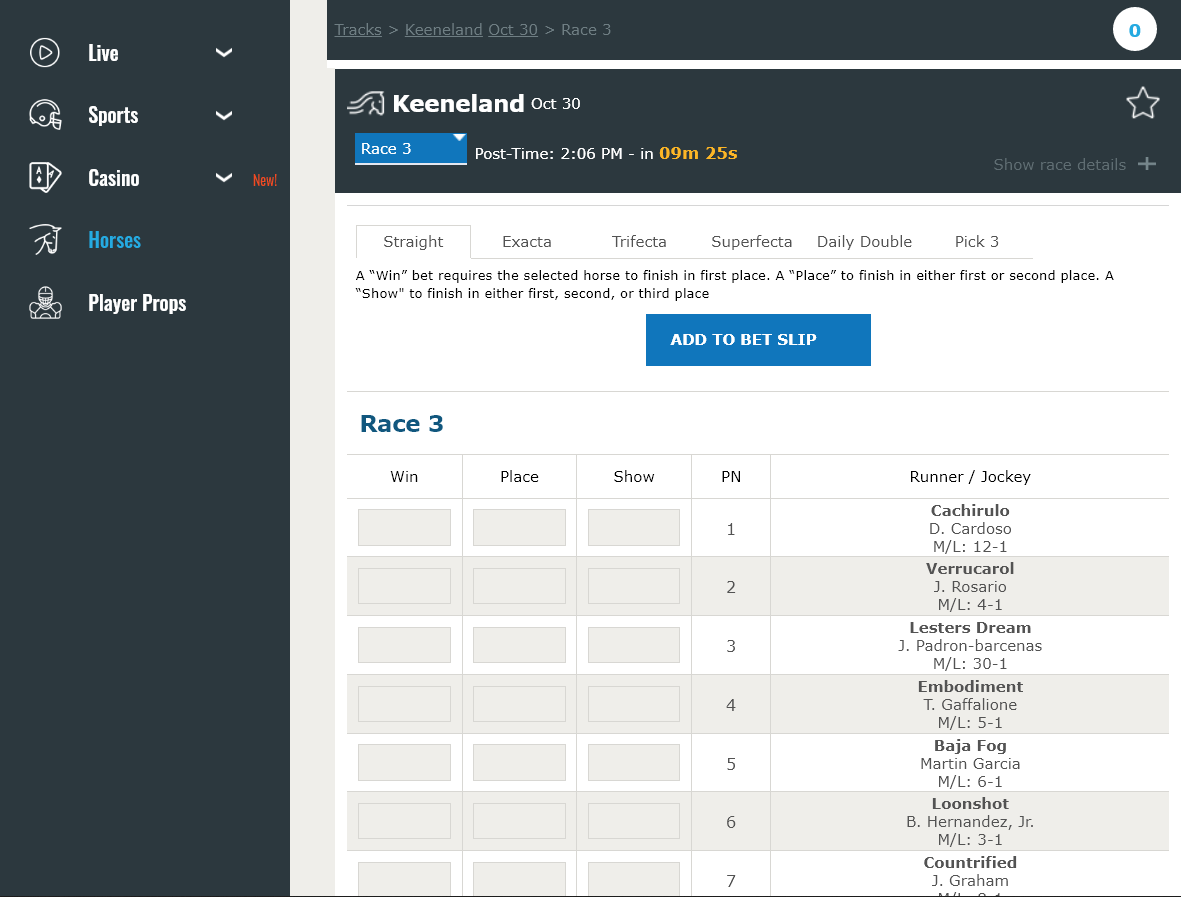 BETDSI Horse Race Betting