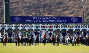 2023 Breeders' Cup Juvenile Turf Free Pick & Handicapping Odds & Prediction