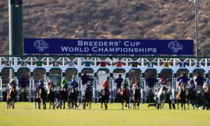 2025 Breeders' Cup Filly & Mare Turf Free Pick & Handicapping Odds & Prediction