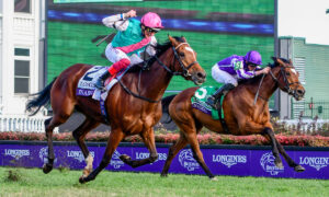 2022 Queen's Plate Stakes Free Pick & Handicapping Odds & Prediction