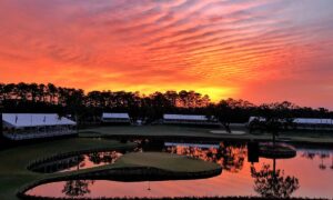 2022 The Players Championship Free Pick