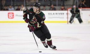 Nashville Predators at Arizona Coyotes Pick, NHL Hockey Prediction, Preview & Odds 3/28/2024