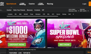 NFL Betting Guide