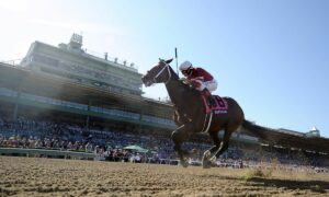 2023 Breeders' Cup Filly & Mare Sprint Free Pick & Handicapping Odds & Prediction
