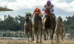 2023 Breeders' Cup Classic Free Pick & Handicapping Odds & Prediction