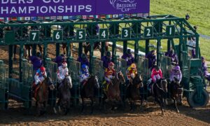 2023 Breeders' Cup Juvenile Free Pick & Handicapping Odds & Prediction