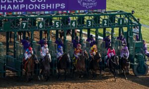 2025 Breeders' Cup Juvenile Fillies Free Pick & Handicapping Odds & Prediction