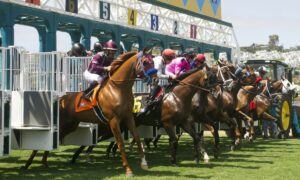 2023 Breeders' Cup Filly & Mare Turf Free Pick & Handicapping Odds & Prediction