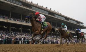 2023 Breeders' Cup Juvenile Fillies Free Pick & Handicapping Odds & Prediction