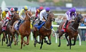 2023 Breeders' Cup Juvenile Fillies Turf Free Pick & Handicapping Odds & Prediction