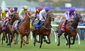 2025 Breeders Cup Mile Free Pick & Handicapping Odds & Prediction