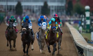 2023 Breeders' Cup Distaff Free Pick & Handicapping Odds & Prediction