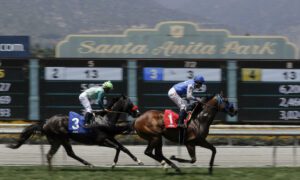 2023 Breeders' Cup Turf Sprint Free Pick & Handicapping Odds & Prediction