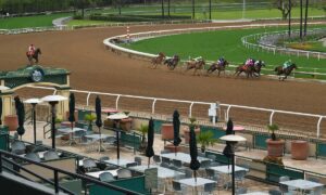 2026 Florida Derby Free Pick & Handicapping Odds & Prediction