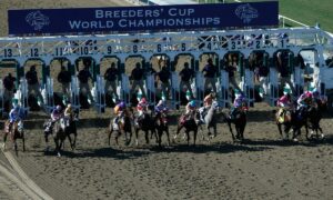2023 Breeders' Cup Dirt Mile Free Pick & Handicapping Odds & Prediction