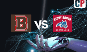 Brown Bears at Stony Brook Seawolves Pick, NCAA Basketball Prediction, Preview & Odds 12/29/2023