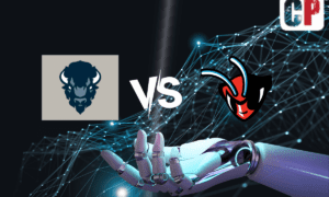 Howard Bison at Delaware State Hornets Pick, NCAA Basketball Prediction, Preview & Odds 2/5/2024